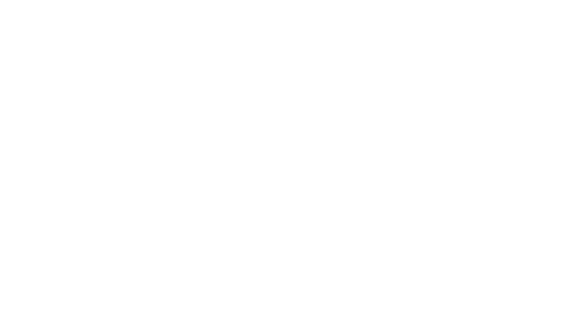 VMP Investigations